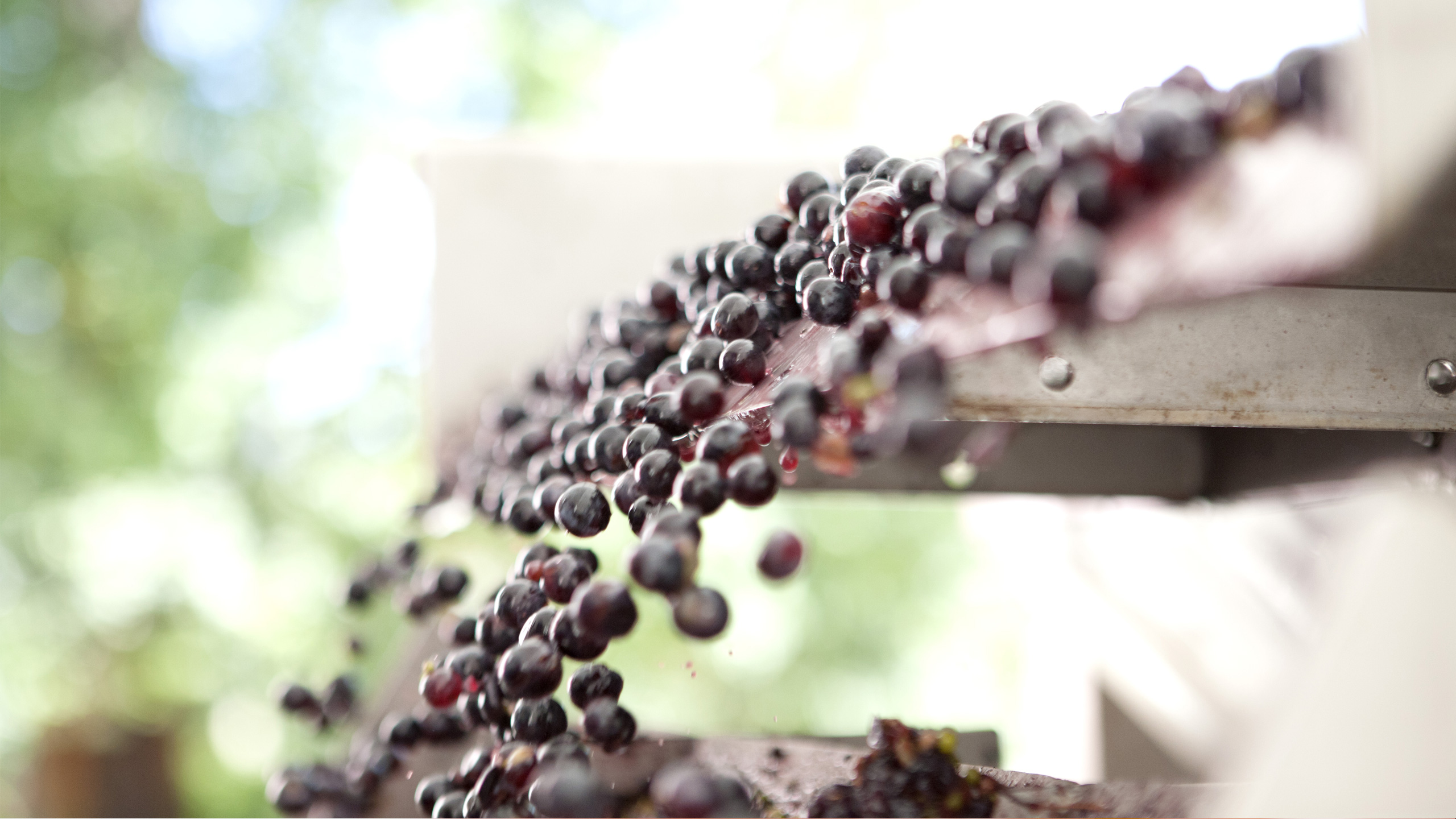 Banner Image 4